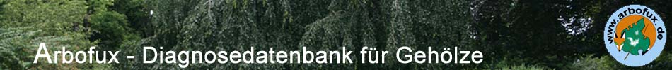 arbofux - Diagnosedatenbank f�r Geh�lze